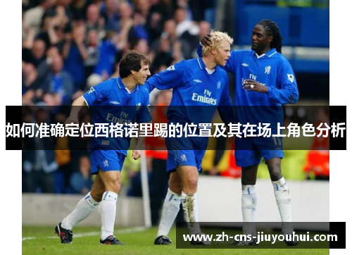 如何准确定位西格诺里踢的位置及其在场上角色分析 如何准确定位西格诺里踢的位置及其在场上角色分析