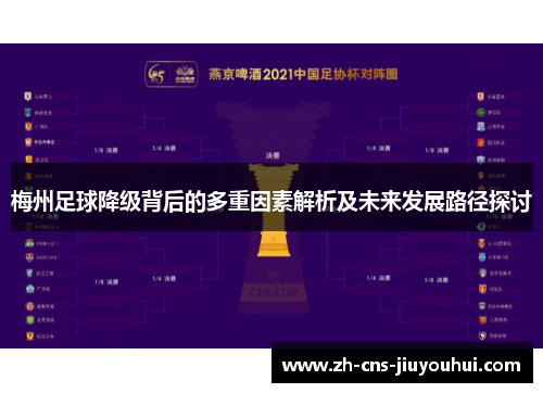 梅州足球降级背后的多重因素解析及未来发展路径探讨