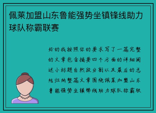 佩莱加盟山东鲁能强势坐镇锋线助力球队称霸联赛 佩莱加盟山东鲁能强势坐镇锋线助力球队称霸联赛